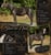 Horse ad