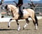 Horse ad