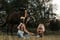 Horse ad