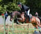 Annuncio cavallo