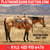 Anuncio de caballos