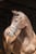 Horse ad