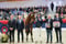 Horse ad
