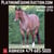 Horse ad