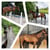 Horse ad