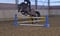 Annonce cheval