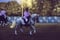 Horse ad