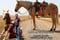 Horse ad