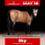 Annuncio cavallo