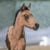 Annuncio cavallo
