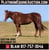 Horse ad