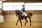 Horse ad