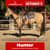 Paardadvertentie