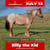 Paardadvertentie