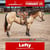 Horse ad
