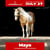 Horse ad