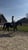 Annuncio cavallo