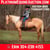 Annuncio cavallo