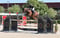 Annuncio cavallo