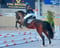 Horse ad