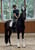 Annuncio cavallo
