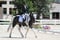 Horse ad