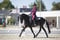 Horse ad