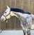 Annuncio cavallo