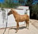 Horse ad