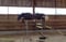 Annonce cheval