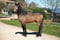 Horse ad
