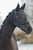 Horse ad