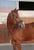 Annuncio cavallo