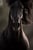Horse ad