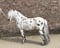 Horse ad
