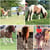 Anuncio de caballos