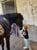 Horse ad