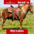 Horse ad