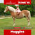 Annuncio cavallo
