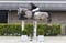 Paardadvertentie