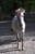 Horse ad