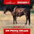Anuncio de caballos