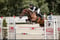 Horse ad