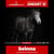Horse ad