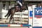Horse ad