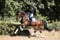 Annuncio cavallo