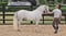 Annuncio cavallo