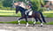 Annuncio cavallo