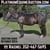 Horse ad