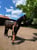 Horse ad